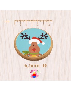 Reindeer with a Merry Xmas sign