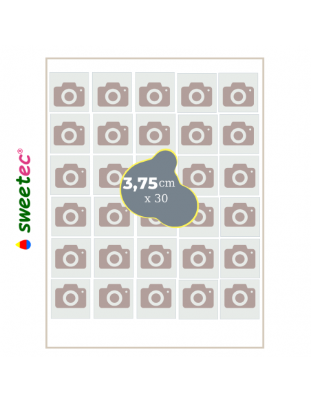 Design now online your own Custom edible print for square cookies on Wafer and Icing sheets
